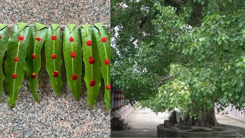 முன்னோர்கள் சொன்னதெல்லாம் மூட நம்பிக்கை கிடையாது