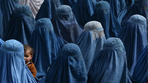 Taliban new law