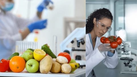 Lab grown vegetables