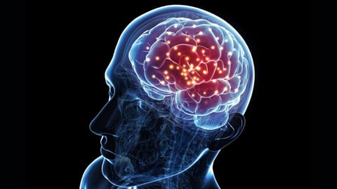 Brain Functions