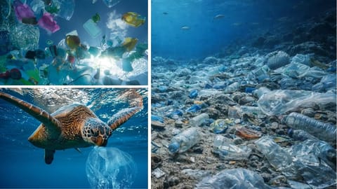 Plastic in sea