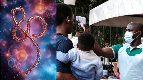 ebola virus 