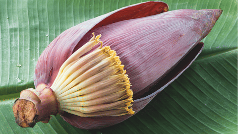 வாழைப்பூ