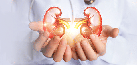 kidney transplantation