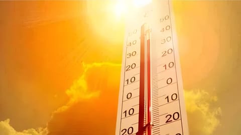 Telangana weather alert