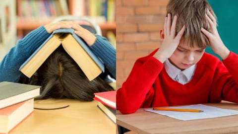 Academic pressure on kids