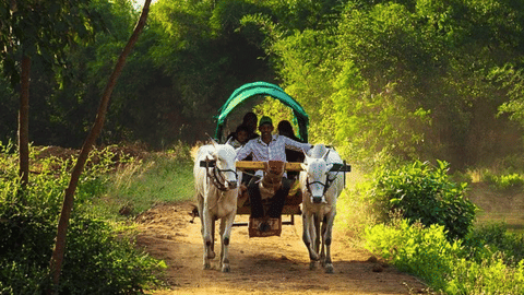 Village Tourism