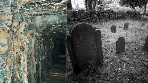 dark tourism