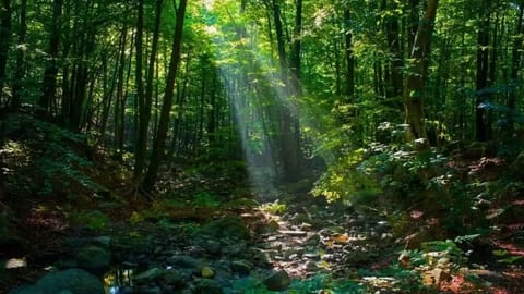  Earth’s ecosystem