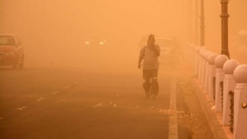 road dust pollution