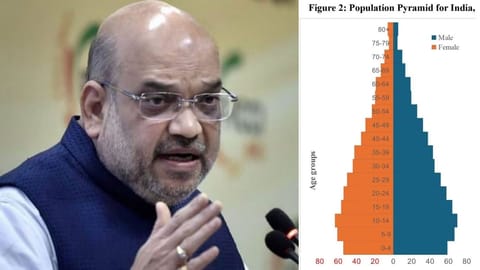 India demographic changes