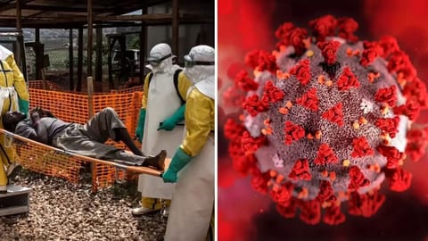 New Ebola strain