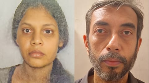 Live-in partner murder
