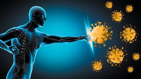 Immunity Boost