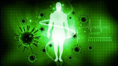 Boost Your Body’s Immunity