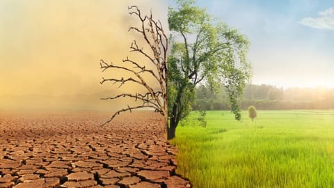 climate change 