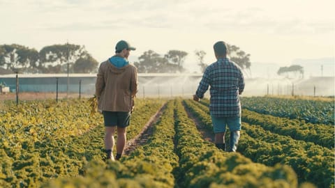 Profitable Farming Ideas