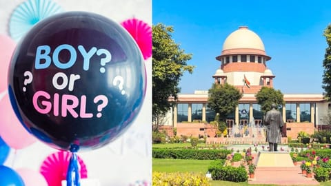 Gender reveaL