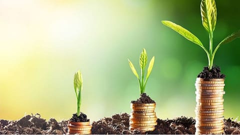 Green entrepreneurship