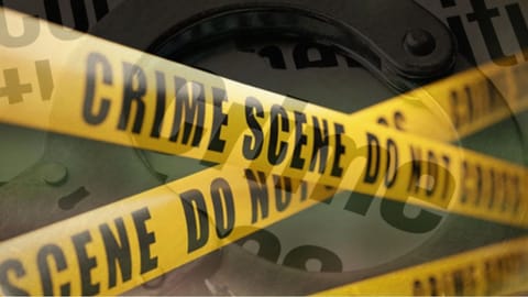 Karnataka wife murder case