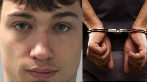Babysitter murder allegations