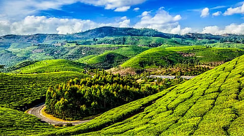 மேற்குத் தொடர்ச்சி மலை