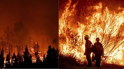 US Forest Fire Crisis