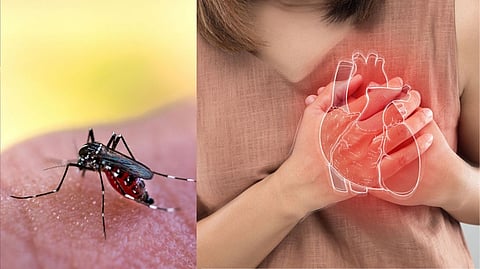 Dengue heart complications