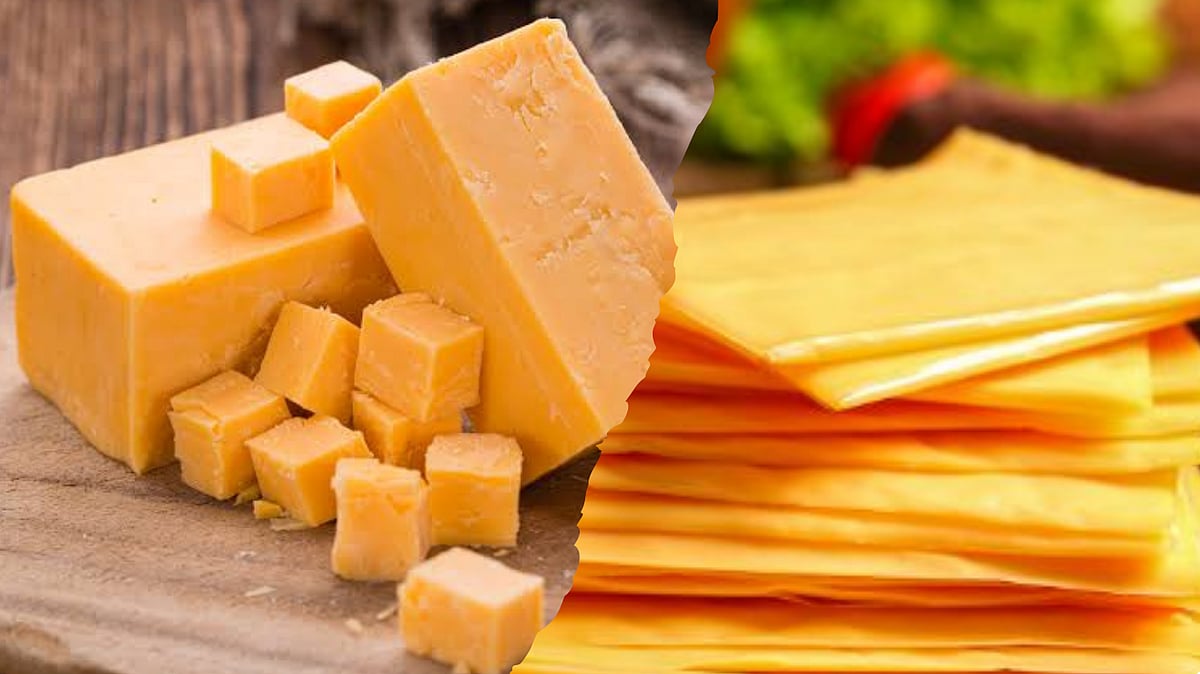 Processed Cheese? Cheddar Cheese ? - உங்கள் ஆரோக்கியத்துக்கும் சமையலுக்கும் சரியான தேர்வு எது?