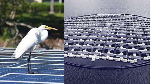  floating solar farms