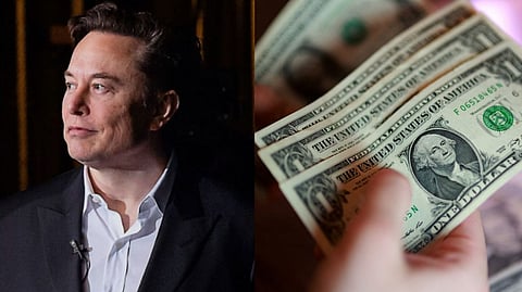 Elon Musk 2036 prediction