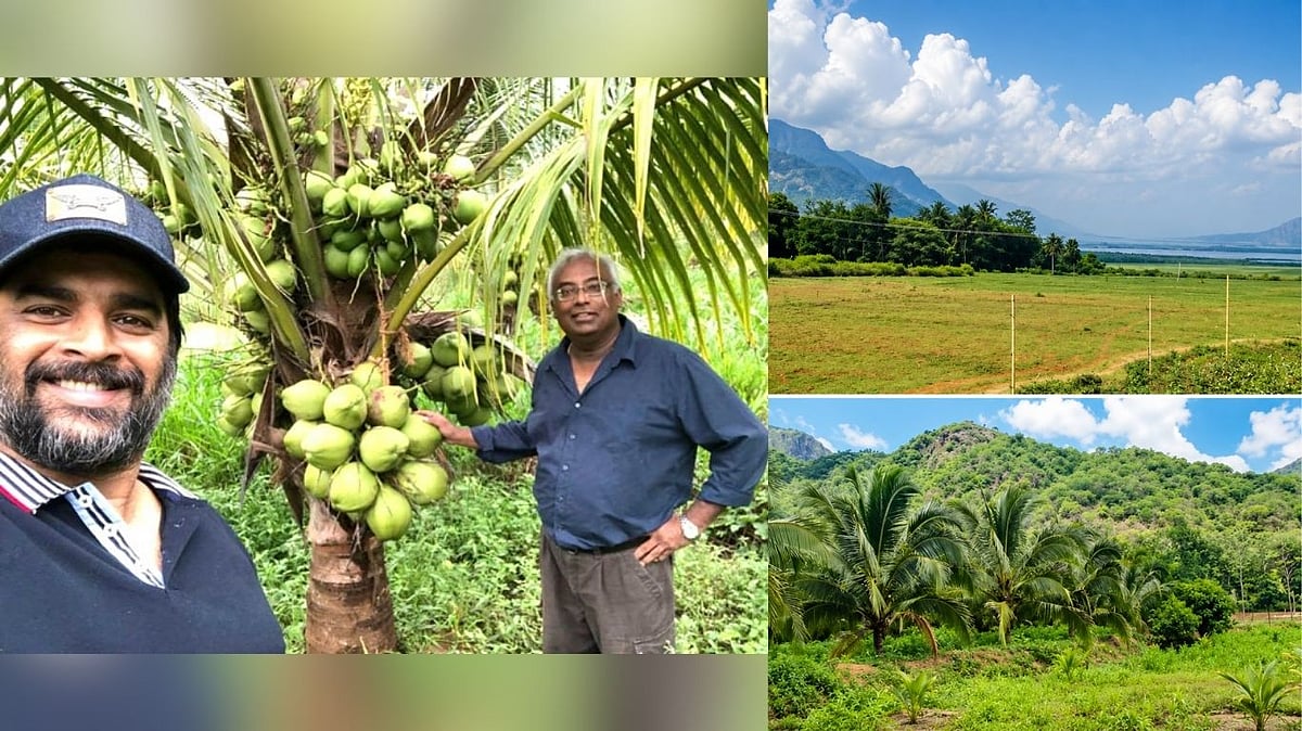 வறண்ட நிலத்தை பசுமைச் சோலையாக மாற்றிய மாதவன்... இயற்கை விவசாயத்தில் கவனம் ஈர்க்கும் புதிய முயற்சி