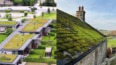  Green Roof