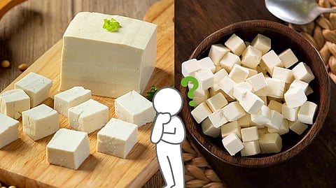 analog paneer