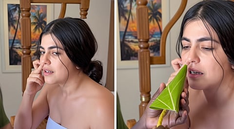 Shenaaz Treasury