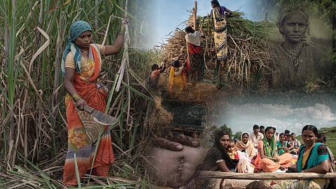 Maharashtra women sugarcane workers