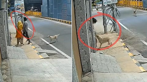 Coimbatore Woman Assault Attempt