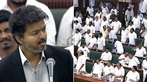 Tamil Nadu CM Vijay