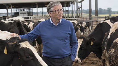 bill gates