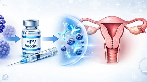 HPV vaccine