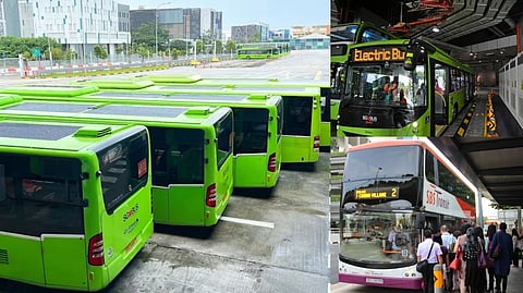 Singapore new bus rules