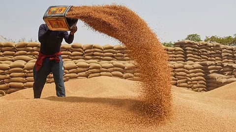 கோதுமை கையிருப்பு அதிகம்... உடனே ஏற்றுமதி செய்யலாமா? இந்தியா எதிர்கொள்ளும் புதிய கவலை