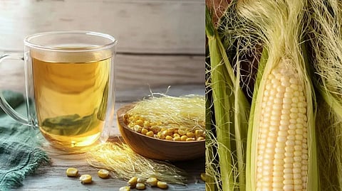 சோள நாரை குடித்தால் சிறுநீரகம் சுத்தமாகுமா? அறிவியல் சொல்லும் உண்மை என்ன?