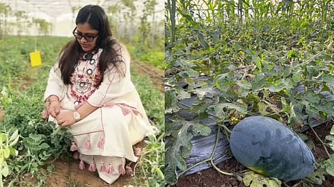 Poorva Jindal farming