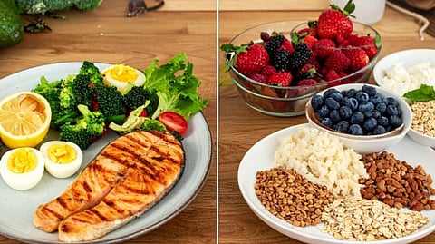 protein vs fibre for weight loss