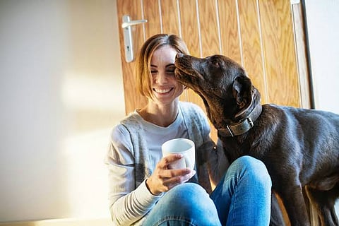 Health Benefits of Owning Pets