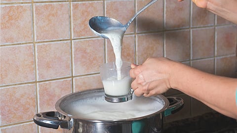 Rabies Transmission Through Milk