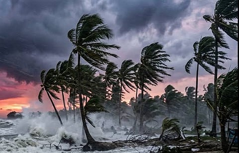 Cyclone Arnab Andhra Pradesh