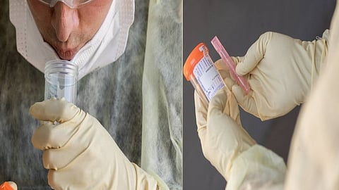 கொரோனா இருக்கா... 3 மணி நேரத்தில் விடை காணலாம்... இந்திய விஞ்ஞானிகள் கண்டுபிடிப்பு!!