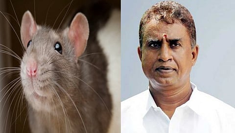 வேலுமணியை காப்பாற்றும் எலிகள்... அழிந்து வரும் ஆதாரங்கள், காணாமல் போகும் கோப்புகள்!! என்னதான் நடக்குது கோவையில்.?